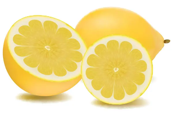 白い背景にレモンフルーツのベクターイラスト — ストックベクタ