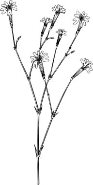 Çiçekler ve çiçek elementleriyle dekoratif bir arka plan. 