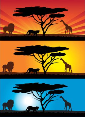 Afrika 'nın vektör silueti.