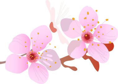 güzel çiçekler, dekoratif ikon vektör illüstrasyon tasarımı