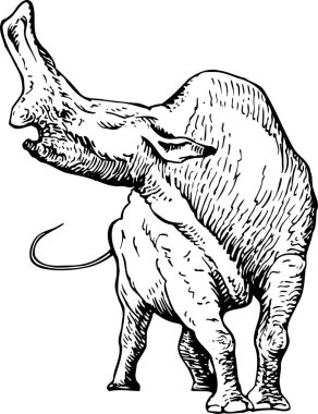 Thunder Beast 'in (Embolotherium) beyaz arkaplanda izole edilmiş siyah ve beyaz vektör çizimi