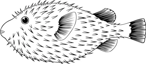 Ilustração Vetorial Peixes Sobre Fundo Branco Preto Branco — Vetor de Stock