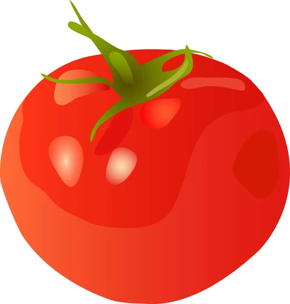 Tomate Illustration Vectorielle Dessin Animé — Image vectorielle