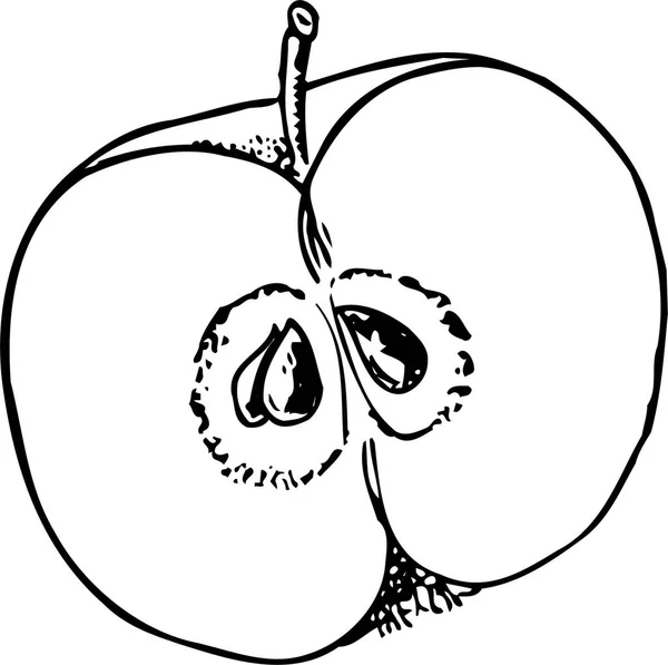 Pomme Coupée Deux Sur Fond Blanc — Image vectorielle