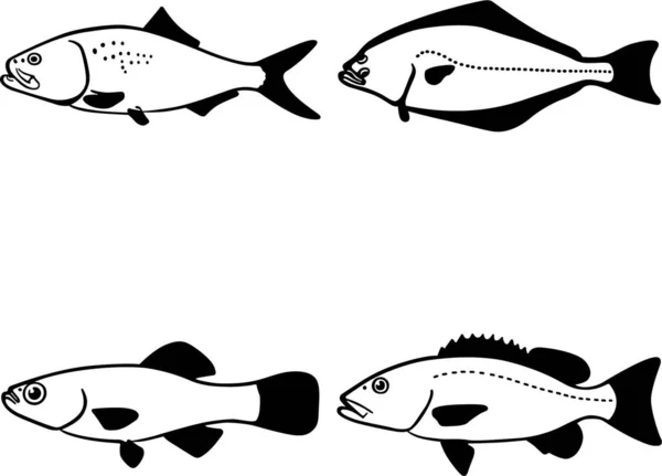 Vector Illustration Fish Icons — Stock Vector