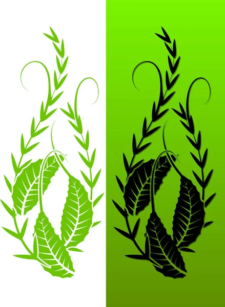 Vektorgrüne Blätter Und Florales Ornament Auf Weißem Hintergrund — Stockvektor