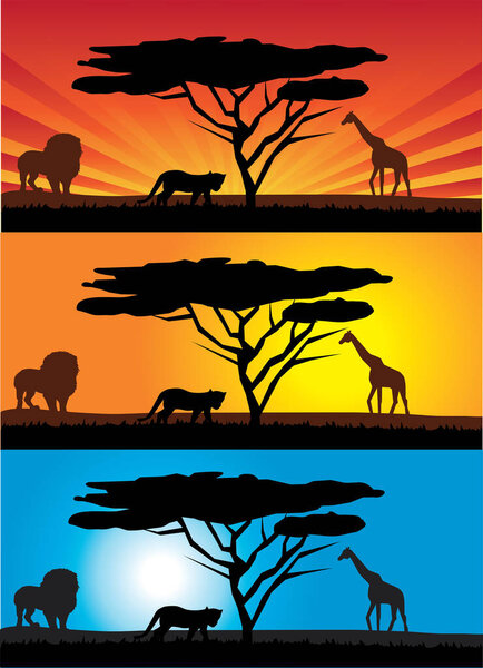 vector silhouette of africa.