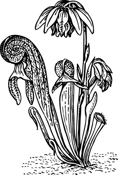 Иллюстрация Цветка Мультфильма Белом Фоне — стоковый вектор