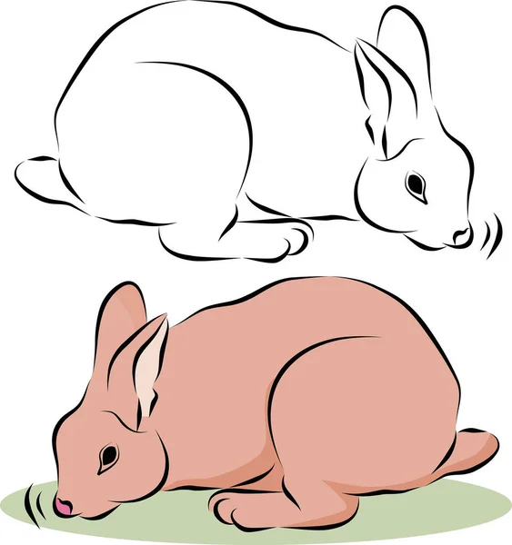 Conejos Dibujos Animados Conjunto Vector Ilustración — Vector de stock