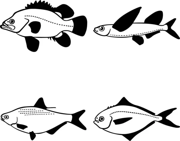 Vector Illustration Set Fish White Background — Stock Vector