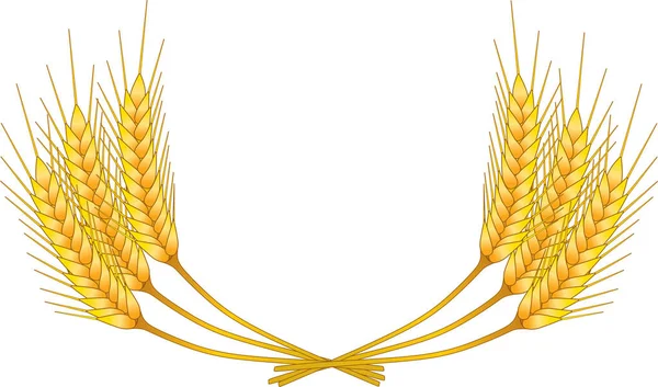 Goldene Weizenähren Vektorillustration — Stockvektor