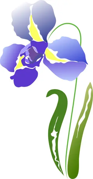 Απεικόνιση Ενός Λουλουδιού Μπλε Χρώμα — Διανυσματικό Αρχείο