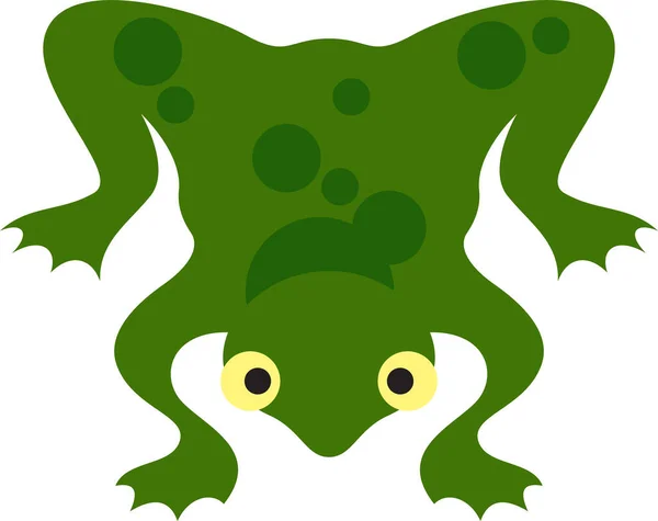 Žába Kreslené Vektorové Ilustrace — Stockový vektor