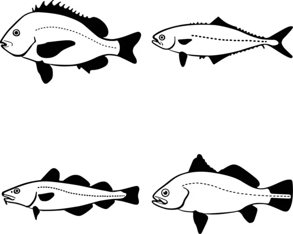 Vector Illustration Fish Icons — Stock Vector