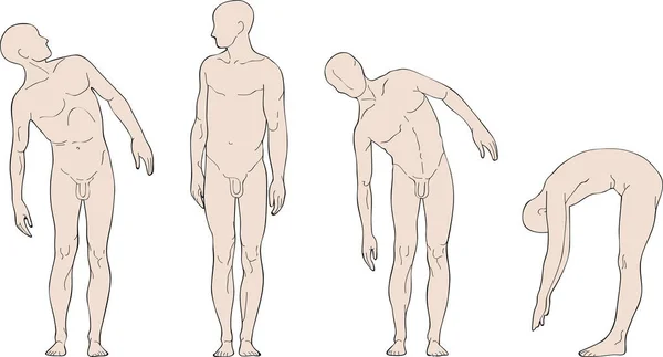 Vector Set Male Human Body — Stock Vector