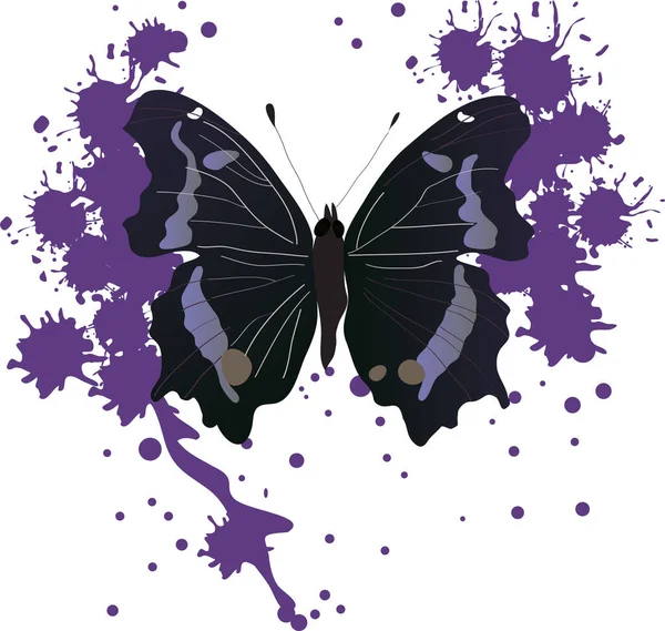 Ilustración Vectorial Mariposa Con Salpicaduras Pintura — Archivo Imágenes Vectoriales