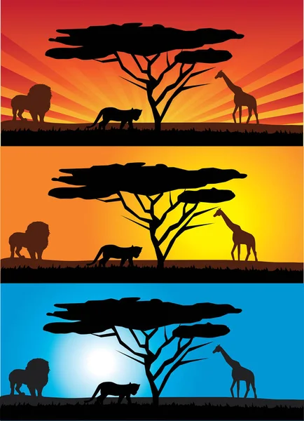 Silhouette Vettoriale Dell Africa — Vettoriale Stock