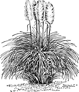 Çiçeksel elementlerle dekoratif arka plan, vektör illüstrasyonu     