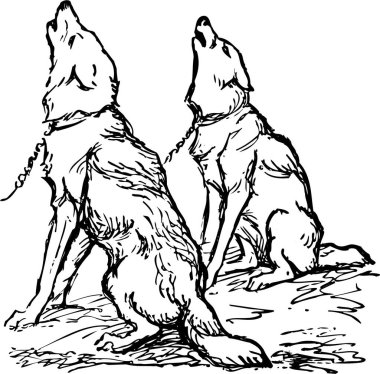 İki köpeğin siyah-beyaz çizimi 