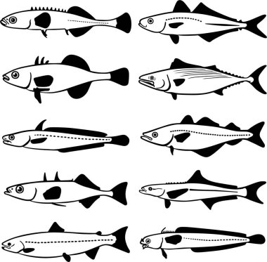 Balık simgeler vektör çizim
