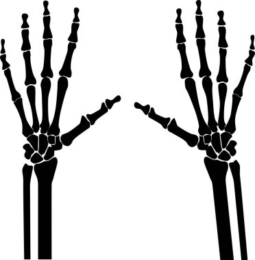  iskelet eller vektör çizimi