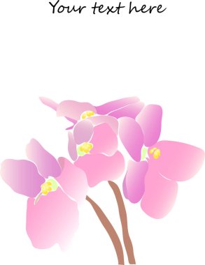 Çiçekli vektör arkaplanı.