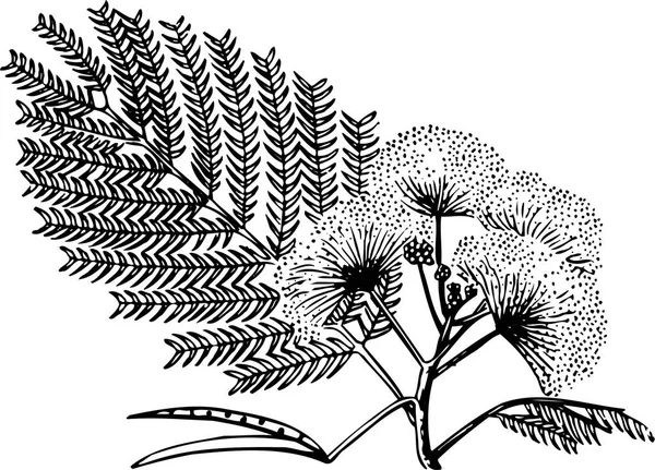 Vektor Illustration Med Handritade Blommor — Stock vektor