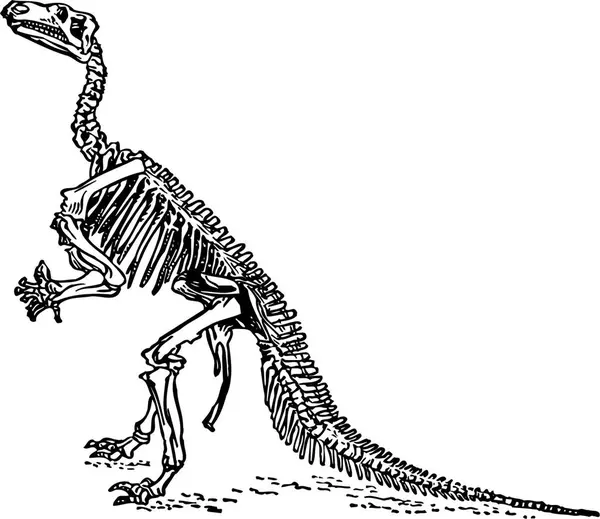 Siyah Beyaz Bir Dinozorun Çizimi — Stok Vektör