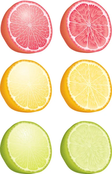 一套五彩缤纷的柑橘类水果 白色孤立 — 图库矢量图片