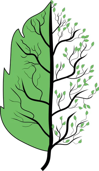 Ilustrace Vektoru Stromu Listu — Stockový vektor
