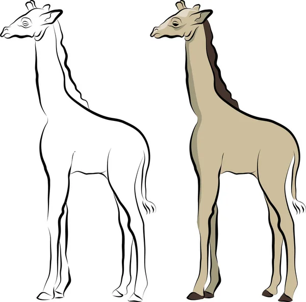 Cartoon Illustration Two Giraffes — Stock Vector
