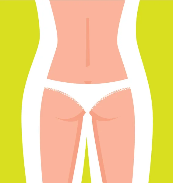 Female Body Lingerie Vector Illustration — Stock Vector