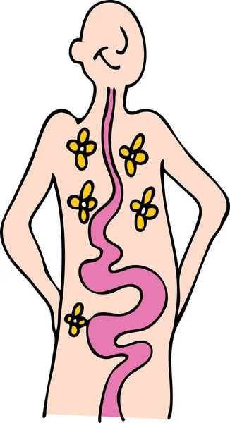 Image Person Healthy Digestive System — Stock Vector