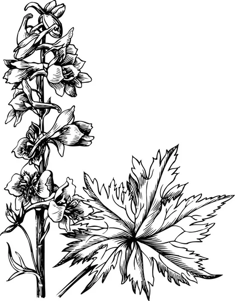 Çiçek Bitkilerin Oymalı Siyah Beyaz Vektörü — Stok Vektör