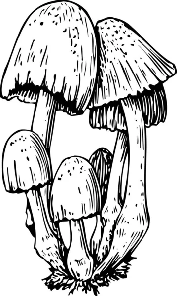 Woodcut Ilustração Cogumelos — Vetor de Stock