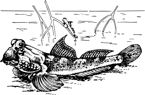 Ilustração Peixe — Vetor de Stock