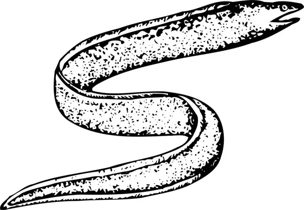 Obrázek Hada — Stockový vektor
