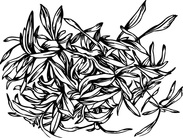 Векторні Чорно Білі Квіткові Квіти Чорнила — стоковий вектор