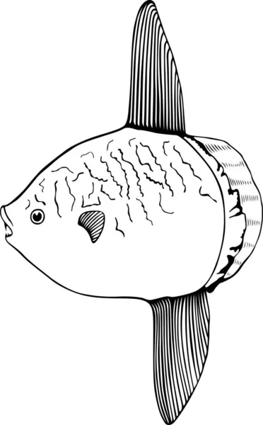 Vectorillustratie Van Vis Een Witte Achtergrond Zwart Wit — Stockvector