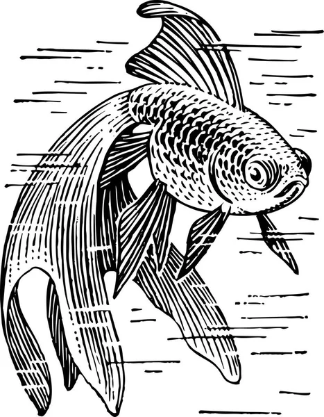 Vektor Illustration Fisk Vit Bakgrund Svart Och Vit — Stock vektor