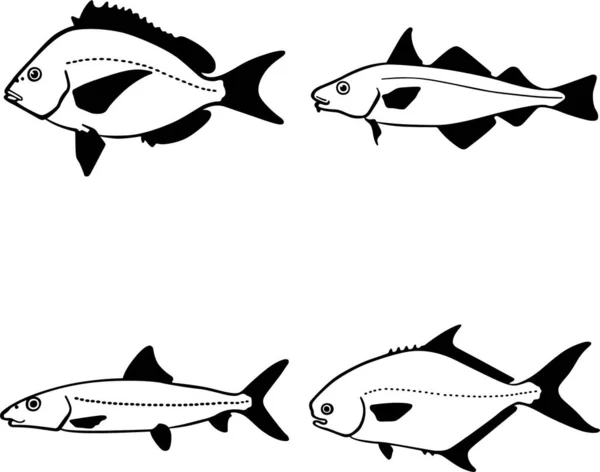 Vector Set Fish Icons — Stock Vector
