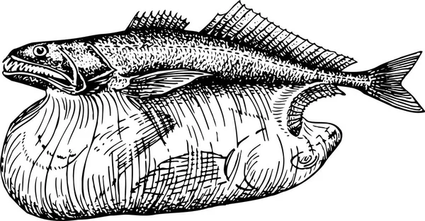 Vektor Illustration Fisk Vit Bakgrund Svart Och Vit — Stock vektor