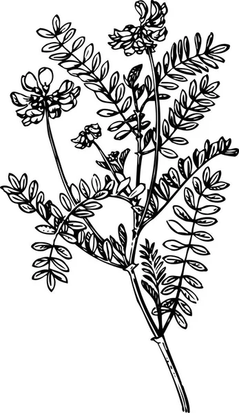 Ilustración Vectorial Del Patrón Floral — Archivo Imágenes Vectoriales