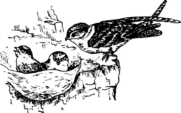 Ilustrasi Cukil Kayu Burung - Stok Vektor