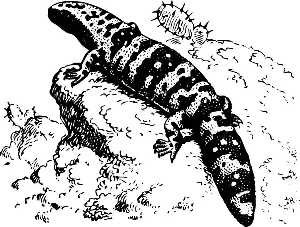 Illustration Dinosaurie — Stock vektor