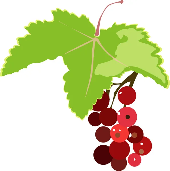 Rote Beeren Mit Blatt Auf Weißem Hintergrund Vektorillustration — Stockvektor