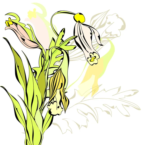 白い背景の美しい花 — ストックベクタ