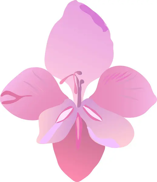 Rosafarbene Blume Flache Farbgestaltung Vektorillustration — Stockvektor