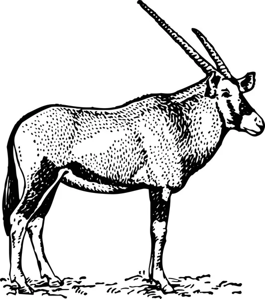 Черно Белая Иллюстрация Мультяшного Животного Рогами — стоковый вектор