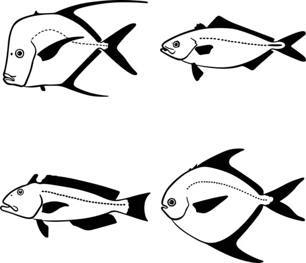 Ασπρόμαυρη Διανυσματική Απεικόνιση Των Ψαριών — Διανυσματικό Αρχείο